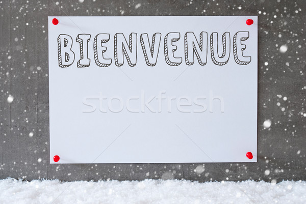 Label On Cement Wall, Snowflakes, Bienvenue Means Welcome Stock photo © Nelosa