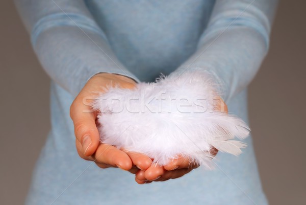 hand holding white feathers Stock photo © Nelosa