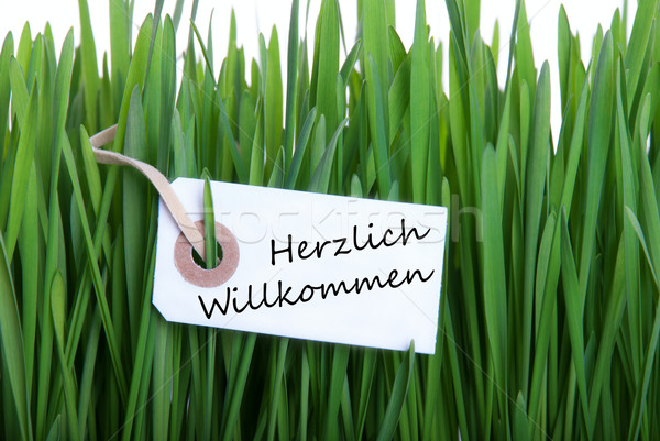 Label with Herzlich Willkommen Stock photo © Nelosa