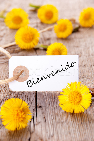 Yellow Flowers with Bienvenido Stock photo © Nelosa