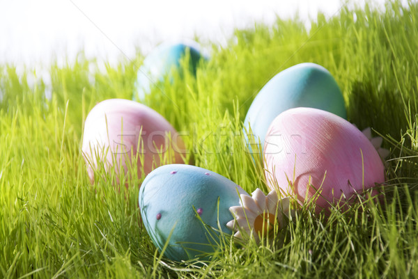 Many Decorative Easter Eggs On Green Grass With Marguerite Blossom Stock photo © Nelosa