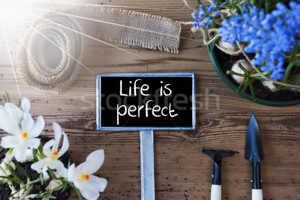 Sunny Spring Flowers, Sign, Quote Life Is Perfect Stock photo © Nelosa