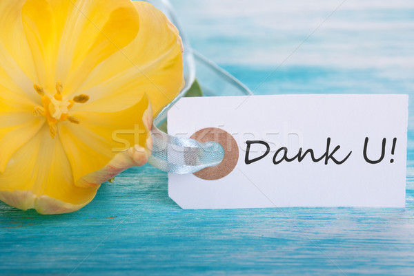 Banner with Dank U Stock photo © Nelosa