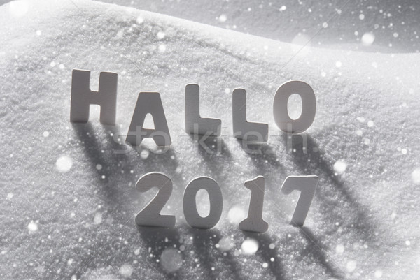 Text Hallo 2017 Means Hello, White Letters In Snow, Snowflakes Stock photo © Nelosa