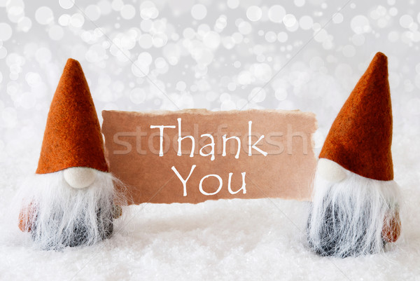 Bronze Gnomes With Card, Text Thank You Stock photo © Nelosa