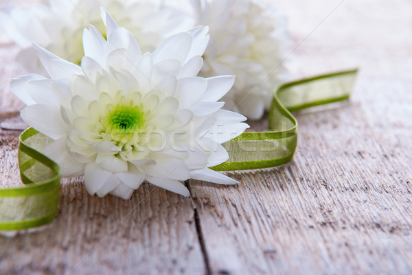 Vert blanche bois fleurs ruban bois [[stock_photo]] © Nelosa