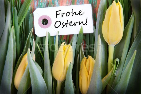 Húsvét címke szavak kellemes húsvétot virágok fű Stock fotó © Nelosa