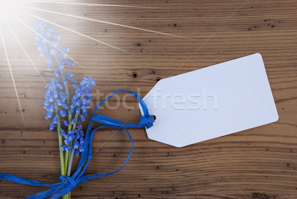 Sunny Srping Grape Hyacinth, Label, Copy Space For Advertisement. Stock photo © Nelosa