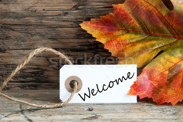 Autumnal Background with Welcome Stock photo © Nelosa