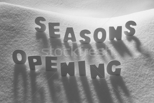 White Word Seasons Opening On Snow Stock photo © Nelosa