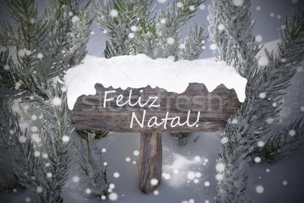 Sign Snowflakes Fir Tree Feliz Natal Mean Merry Christmas Stock photo © Nelosa