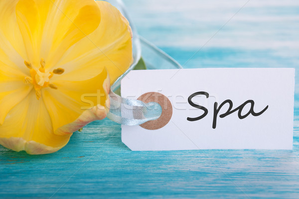 Label with Spa Stock photo © Nelosa