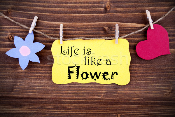 Geel label gezegde leven zoals bloem Stockfoto © Nelosa