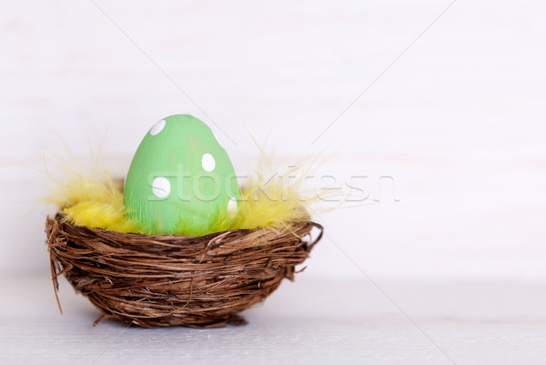 One Green Easter Egg In Nest With Copy Space Stock photo © Nelosa