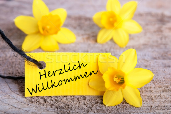Herzlich Willkommen on a Tag Stock photo © Nelosa