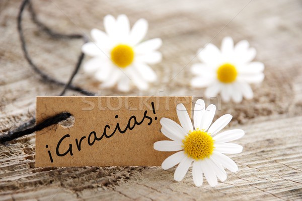 Natural Looking Label with Gracias Stock photo © Nelosa