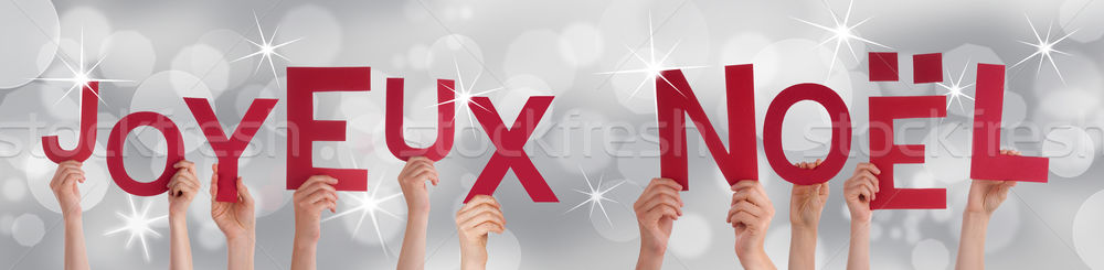 People Holding Joyeux Noel on Silver Background Stock photo © Nelosa