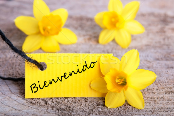 Bienvenido Tag Stock photo © Nelosa