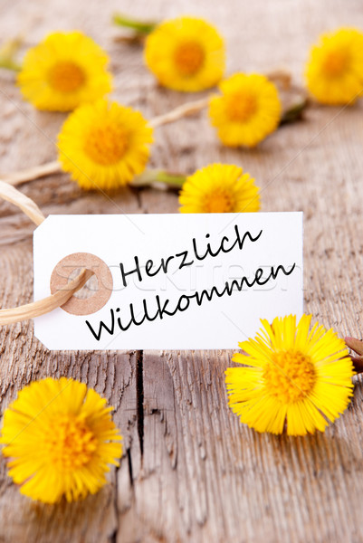 Yellow Flowers with Herzlich Willkommen Stock photo © Nelosa