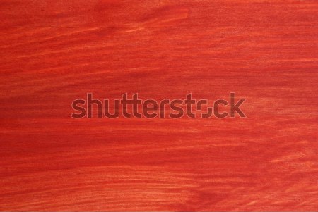 red texture Stock photo © Nelosa
