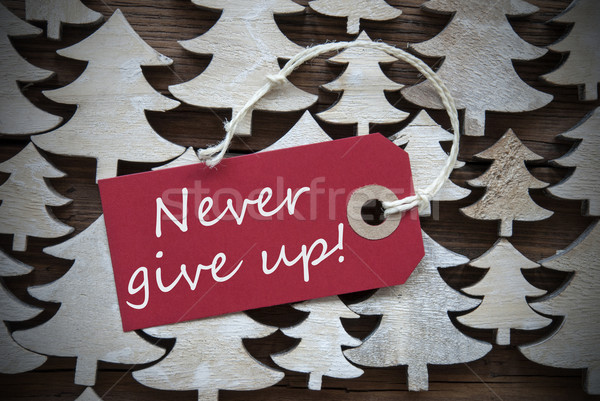 Red Christmas Label With Never Give Up Stock photo © Nelosa