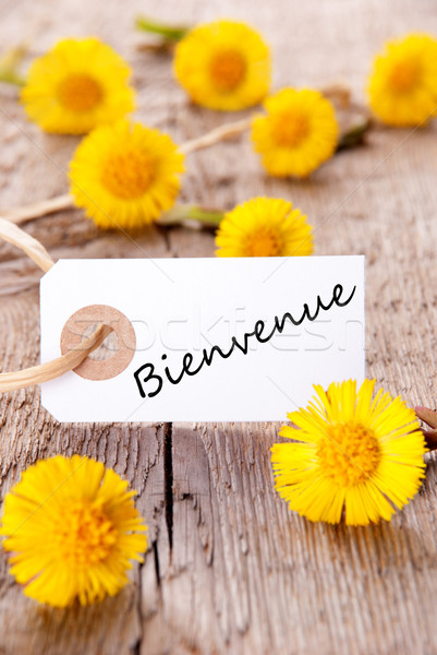 Stock photo: Yellow Flowers with Bienvenue
