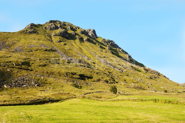 Verde colina enorme grama céu natureza Foto stock © Nelosa
