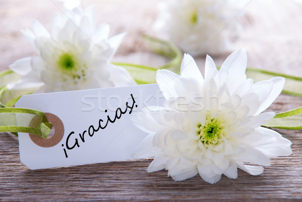 Label weiß spanisch Wort dank weißen Blüten Stock foto © Nelosa
