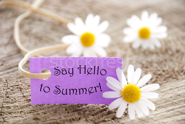 Purple Label With Life Quote Say Hello To Summer And Marguerite Blossoms Stock photo © Nelosa