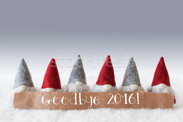 Gnomes, Green Background, Text Goodbye 2016 Stock photo © Nelosa