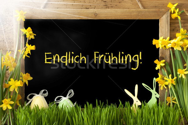 Sunny Narcissus, Easter Egg, Bunny, Endlich Fruehling Means Finnaly Spring Stock photo © Nelosa