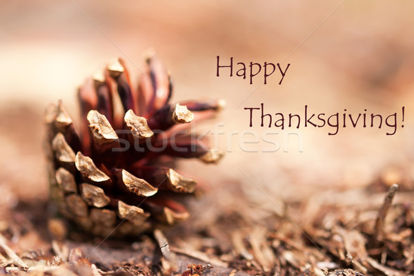 Fir Cone with Happy Thanksgiving Stock photo © Nelosa