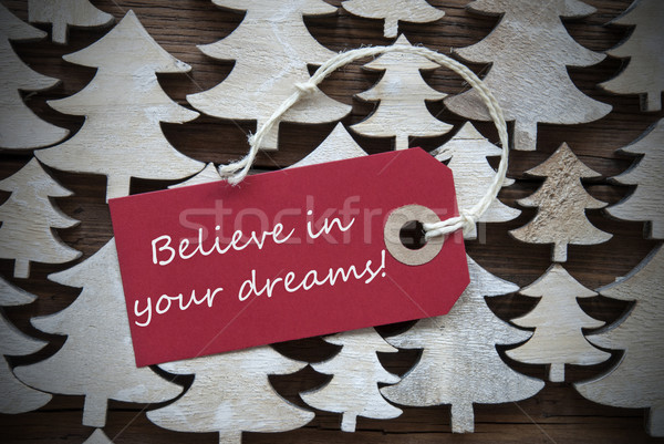 Red Christmas Label With Believe In Your Dreams Stock photo © Nelosa