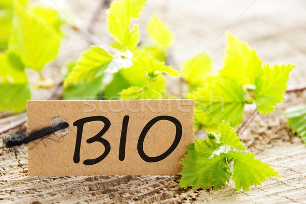 label with BIO Stock photo © Nelosa