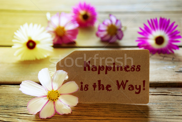 Sunny Label Life Quote Happiness Is The Way With Cosmea Blossoms Stock photo © Nelosa
