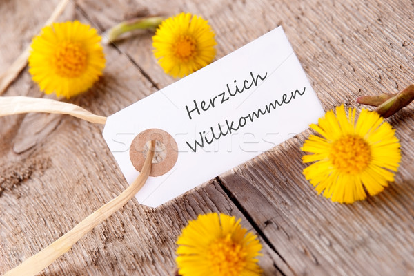 White Banner with Herzlich Willkommen Stock photo © Nelosa