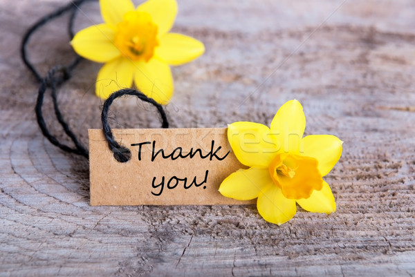 Thank You Stock photo © Nelosa