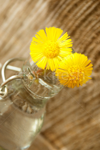 Blumen Vase zwei gelben Blüten wenig Flasche Stock foto © Nelosa
