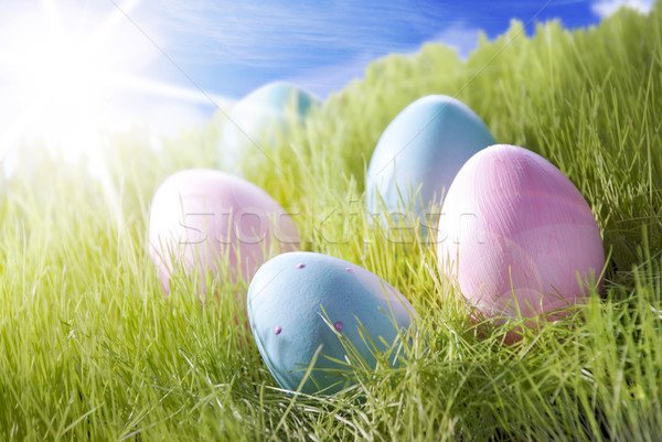 Five Colorful Easter Eggs On Sunny Grass Stock photo © Nelosa