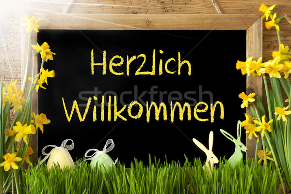 Sunny Narcissus, Easter Egg, Bunny, Herzlich Willkommen Means Welcome Stock photo © Nelosa