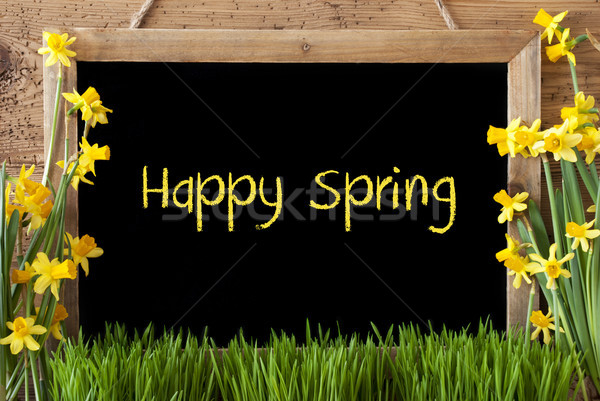Flower Narcissus, Chalkboard, Text Happy Spring Stock photo © Nelosa