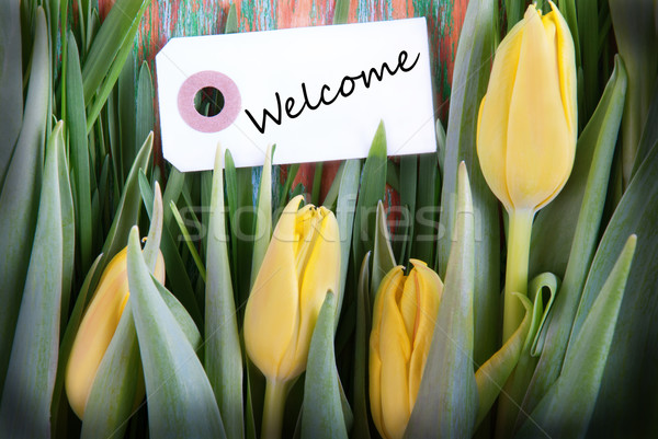 Tulipe Bienvenue jaune étiquette saisonnier fleurs [[stock_photo]] © Nelosa