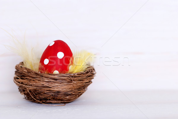 One Red Easter Egg In Nest With Copy Space Stock photo © Nelosa