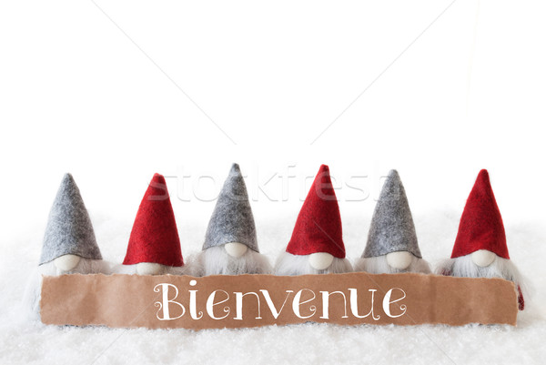 Gnomes, White Background, Bienvenue Means Welcome Stock photo © Nelosa