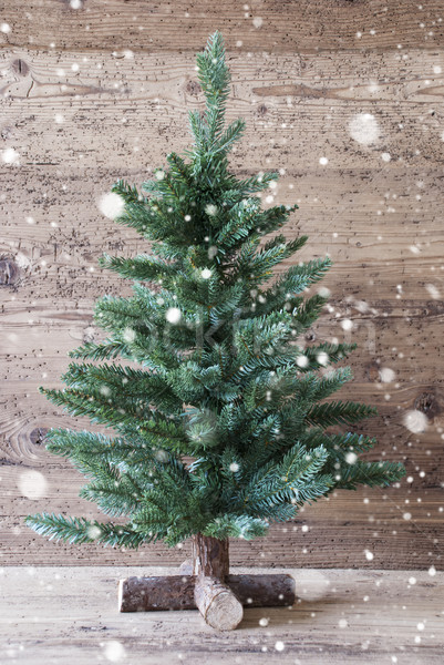вертикальный рождественская елка Сток-фото © Nelosa