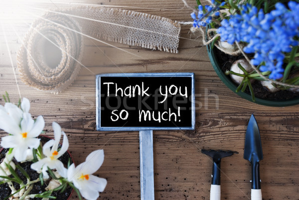 Sunny Spring Flowers, Sign, Text Thank You So Much Stock photo © Nelosa