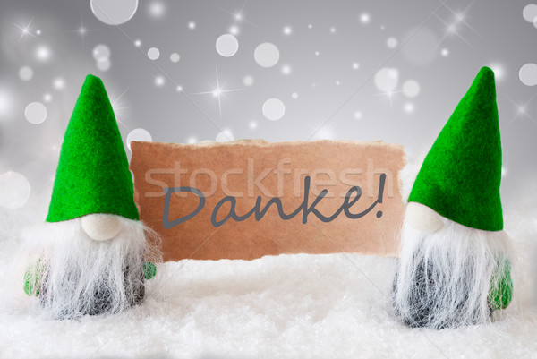 Green Gnomes With Snow, Danke Means Thank You Stock photo © Nelosa