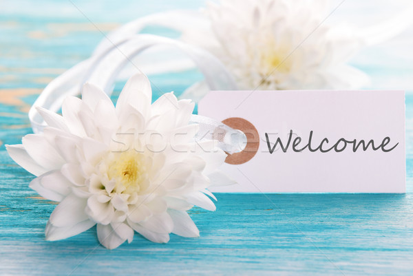 Címke üdvözlet fa deszka fehér virágok fa megbeszélés Stock fotó © Nelosa