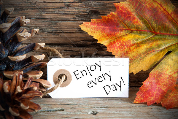 Autumn Label with Enjoy every Day Stock photo © Nelosa