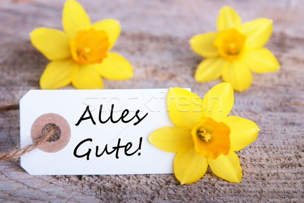 Label with Alles Gute Stock photo © Nelosa